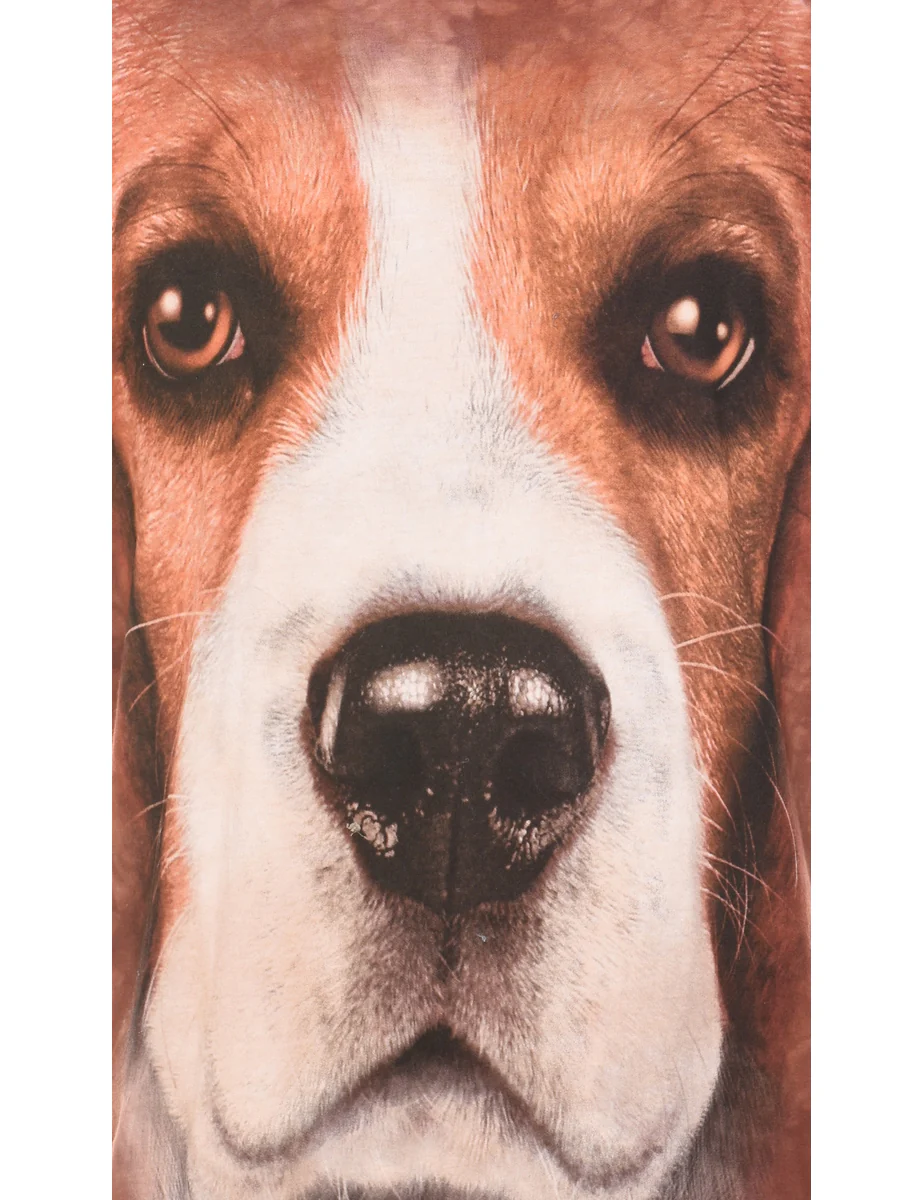 Vintage The Mountain Dog Design T-Shirt - M - Image 3